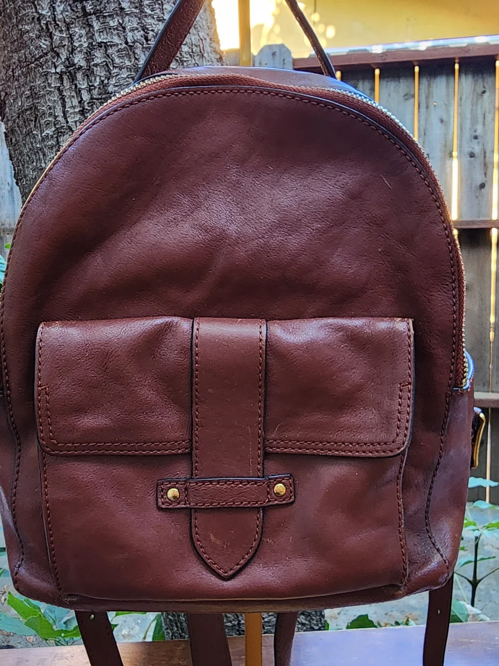 Frye Olivia Chocolate Brown Premium Leather Backpack Bag Medium